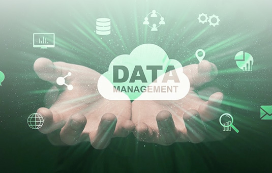 Data Management & Analytics